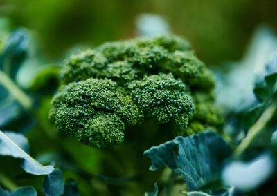 Broccoli or cauliflower